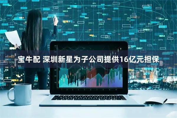 宝牛配 深圳新星为子公司提供16亿元担保