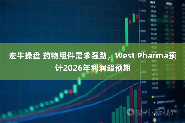 宏牛操盘 药物组件需求强劲，West Pharma预计2026年利润超预期