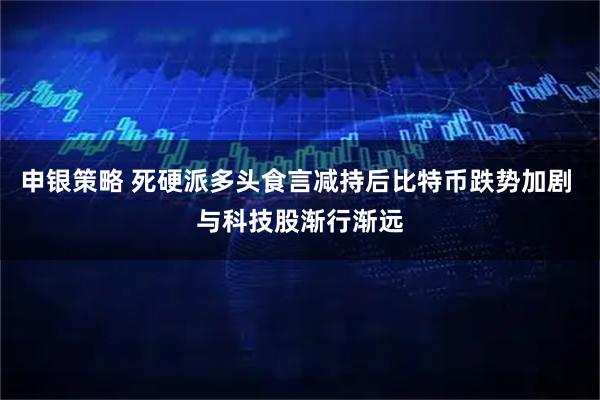 申银策略 死硬派多头食言减持后比特币跌势加剧 与科技股渐行渐远