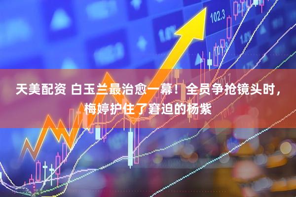 天美配资 白玉兰最治愈一幕！全员争抢镜头时，梅婷护住了窘迫的杨紫