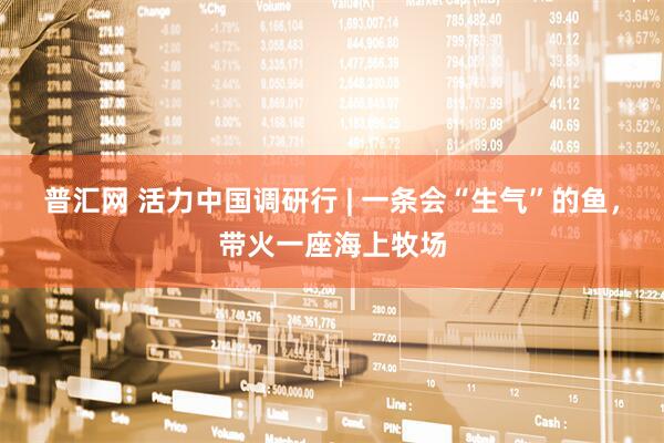普汇网 活力中国调研行 | 一条会“生气”的鱼，带火一座海上牧场